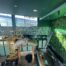 Neon signage installation at Longbrows Jungle Bar. custom wallpaper